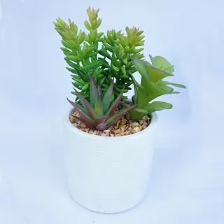 Faux Succulents Potted Decoration 20CM